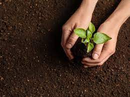 Enviroplan Renewable Energy